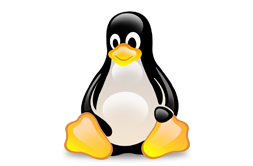 Linux Server