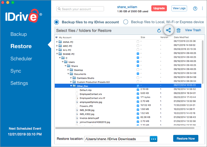 idrive backup nas