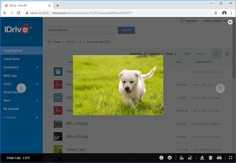IDrive for windows