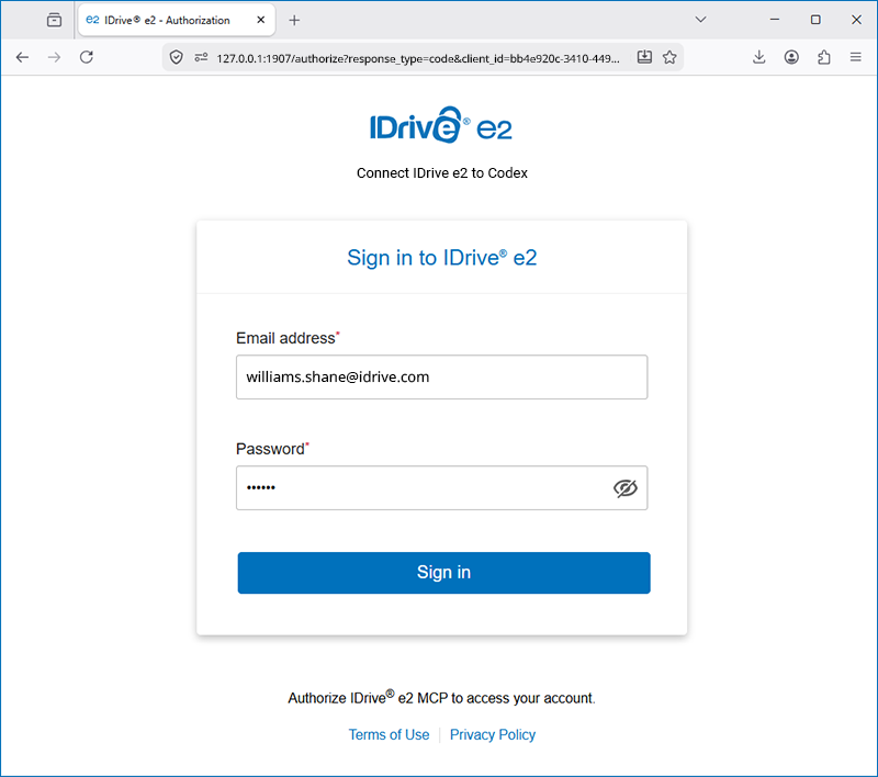IDrive e2 mcp guides