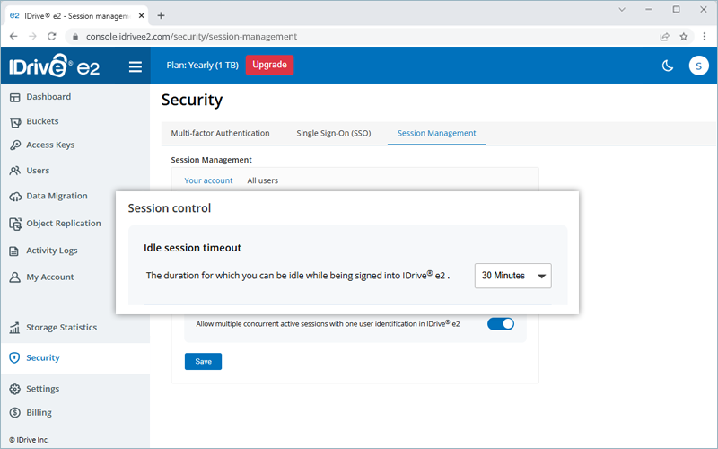 Session control account