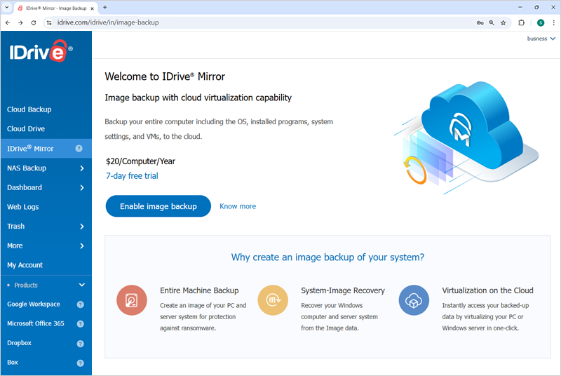 IDrive Mirror