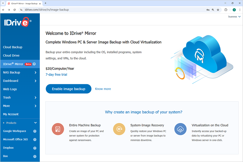 IDrive Mirror