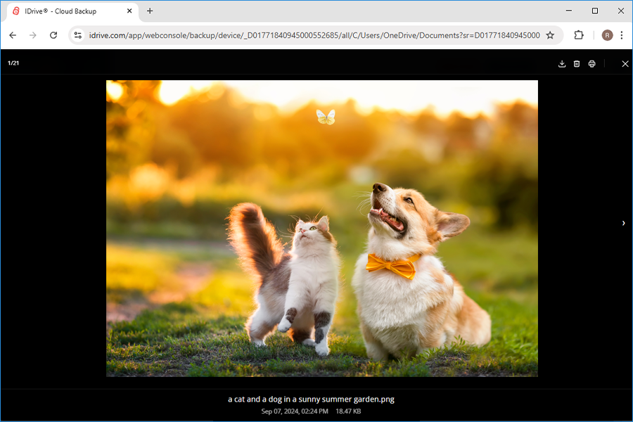 IDrive for windows