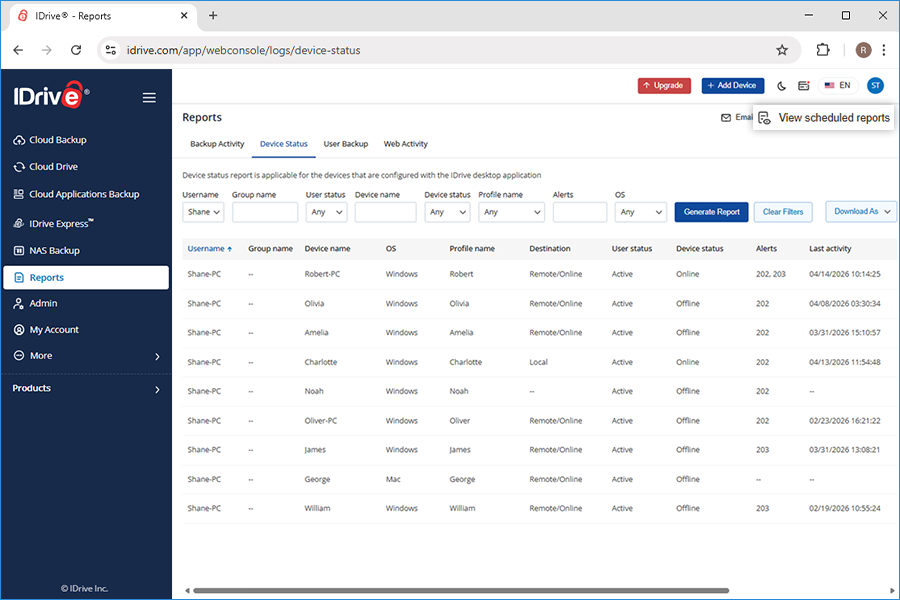 Report view schedule
