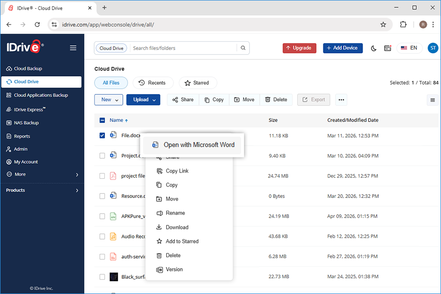 Right-click context menu to select file type for preview screenshot