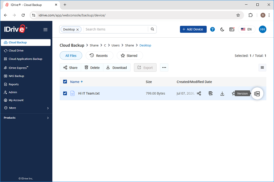 File versions